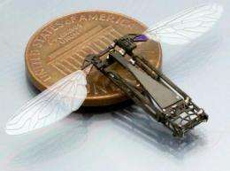 Studying butterfly flight to help build bug-size flying robots