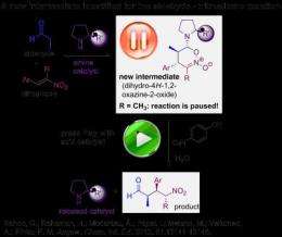 Two problems in chemical catalysis solved