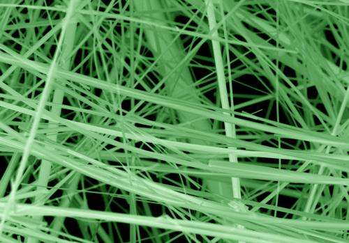Vanadium oxide bronze: A replacement for silicon in microchips?