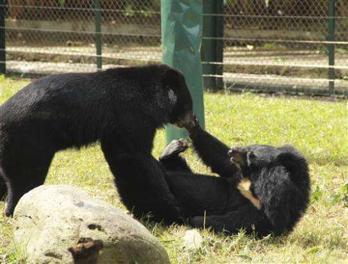 Vietnam may evict bears from 'protected' park land