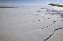 West Antarctic ice shelves tearing apart at the seams