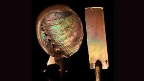 Researchers create artificial mother of pearl, pave way for tough coatings