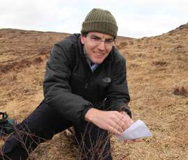 Researchers decode birch tree genome sequence for the first time