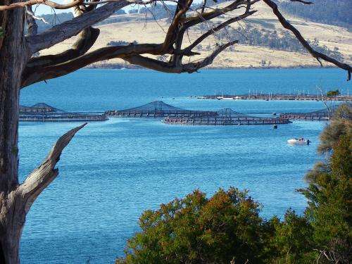 Researchers develop environmental assessment model for southern Tasmanian estuaries