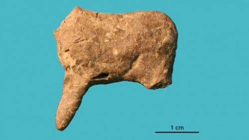 Archaeologists uncover Palaeolithic ceramic art