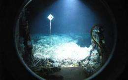 Scientists define new limits of microbial life in undersea volcanoes