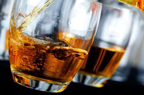 Scientists identify promising target for development of new alcohol abuse medications