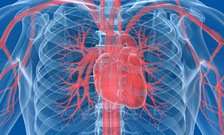 Pioneering heart disease treatment