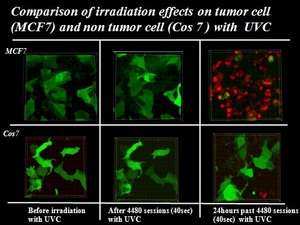 New cancer therapy using ultra-violet C (UVC) pulse flash irradiation