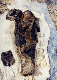 16th-century Korean mummy provides clue to hepatitis B virus genetic code