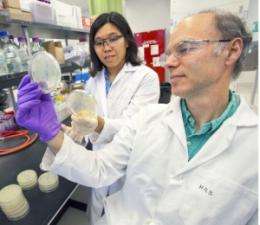 Researchers develop a new candidate for a cleaner, greener and renewable diesel fuel