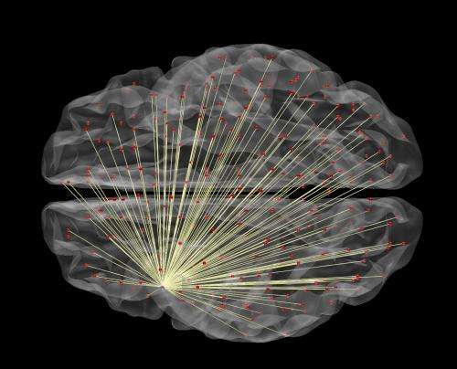 Brain imaging can predict how intelligent you are, study finds