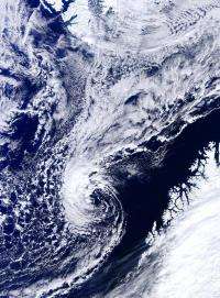 Climate model is first to study climate effects of Arctic hurricanes