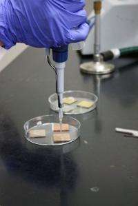 Copper kills harmful bacteria, UA researchers find