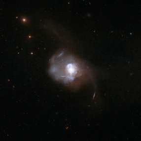 Giant black holes lurking in survey data