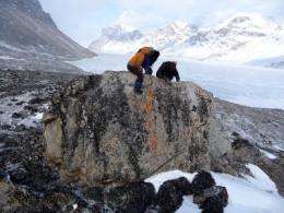 How fast can glaciers respond to climate change?