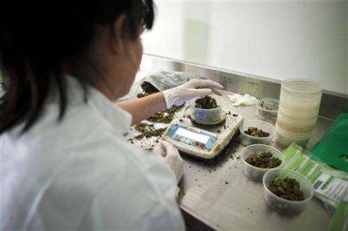 Israel pushing ahead in medical marijuana industry