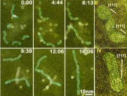 Nanoparticles seen as artificial atoms
