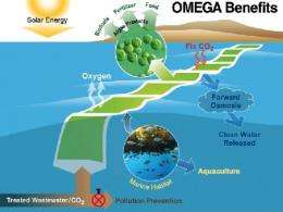 NASA showcases method to grow algae-based biofuels