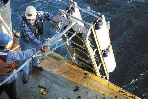 Officials mull seismic tests near US nuclear plant