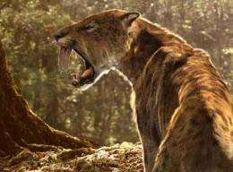 Prehistoric predators with supersized teeth had beefier arm bones