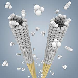 Scientists 'clone' carbon nanotubes to unlock their potential