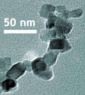 Reference material could aid nanomaterial toxicity research