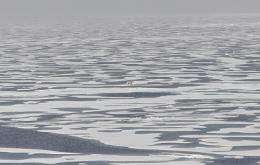 Climate change linked to unexpected 'blooms' under Arctic ice, says UTM research