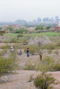 ASU scientists help uncover complex causes, consequences of changes in the environment