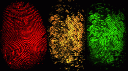 Fingerprints tell all: Progress in fingerprint analysis