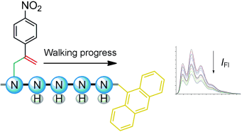 A two-legged molecule: A small molecule moves independently along a track