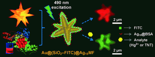 Glowing flowers for ultra-trace analysis of TNT