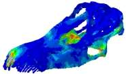 Engineering technology reveals eating habits of giant dinosaurs