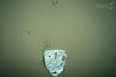 Biologists record increasing amounts of plastic litter in the Arctic deep sea