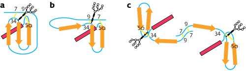 Making sense of misfolded proteins