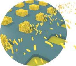 Nanostructures worth more than their weight in gold