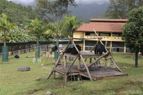 Vietnam may evict bears from 'protected' park land