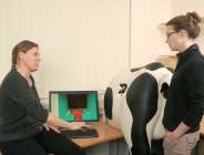 Virtual reality cow simulator goes global