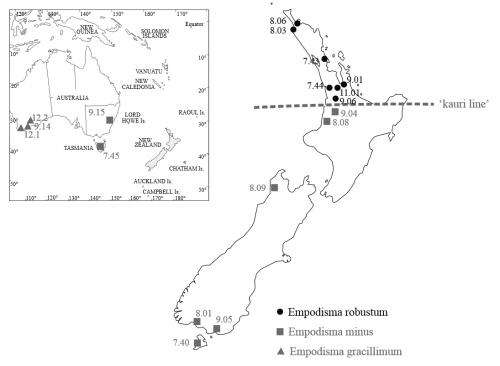 A new species of wirerush from the wetlands in northern New Zealand
