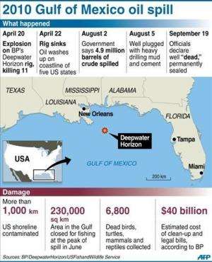 Graphic on the 2010 Deepwater Horizon disaster in the US that killed 11 oil rig workers