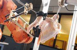 Robot uses 3-D imaging and sensor-based cutting technology to debone poultry