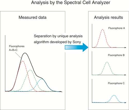 Sony announces the development of the ‘Spectral’ cell analyzer, the industry’s first cell analysis instrument capable of detecti