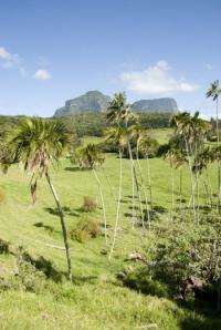 Sympatric speciation contributes to island biodiversity
