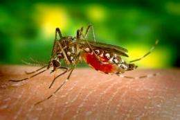 Climate change to increase tropical disease range