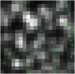 Compressed sensing allows super-resolution microscopy imaging of live cell structures