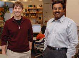 Iowa State researchers developing 'BIGDATA' toolbox to help genome researchers