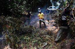 Members of the Chico Mendes Environmental Institute remove trees cut down by illegal wood cutters