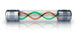 Nanotechnology-enhanced DNA analysis