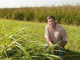 5-10 percent corn yield jump using erosion-slowing cover crops shown in ISU study