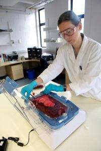 New technology to transform blood processing